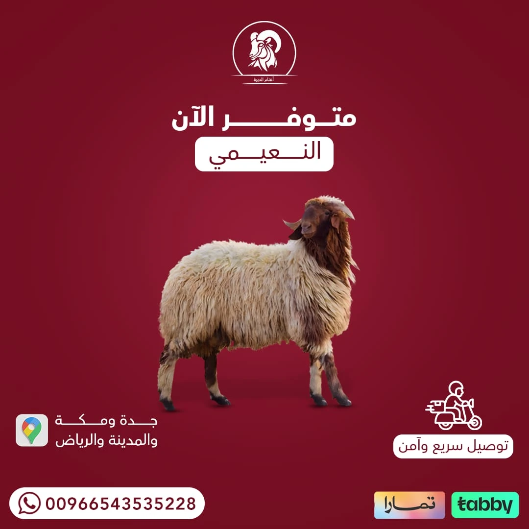 نعيمي بلدي  جذع وسط وزن 22 ك وافي الشروط
