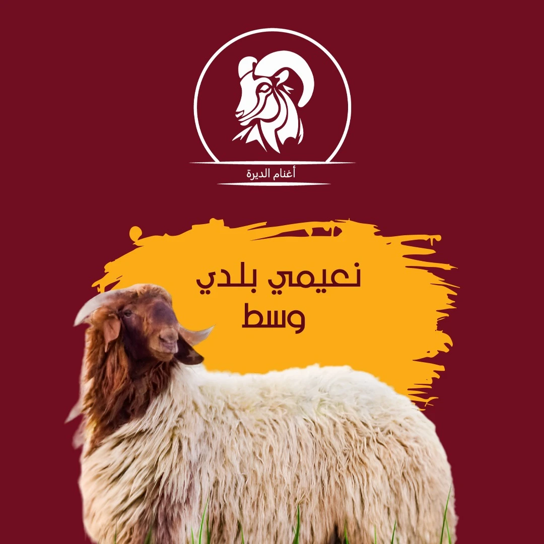 نعيمي بلدي  جذع وسط