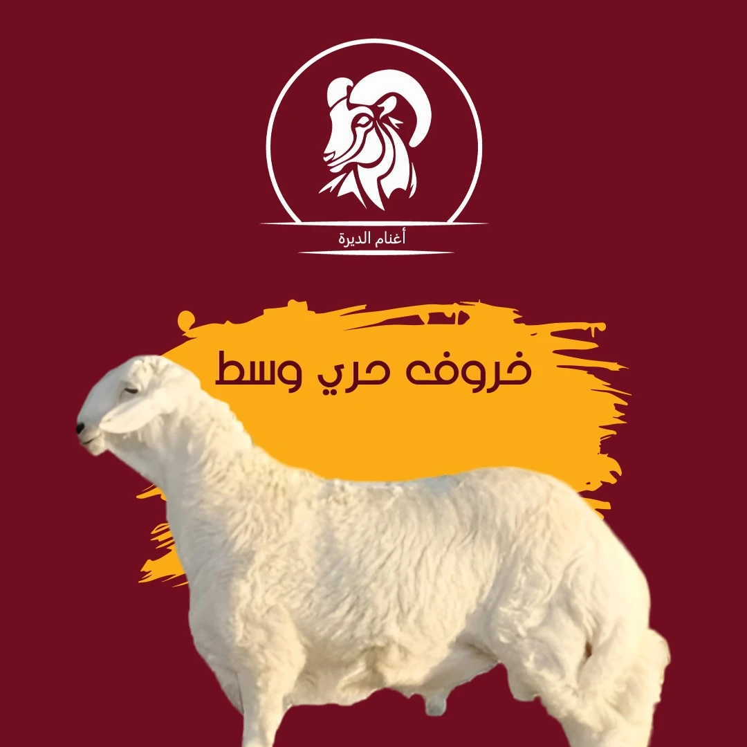 خروف حري جذع