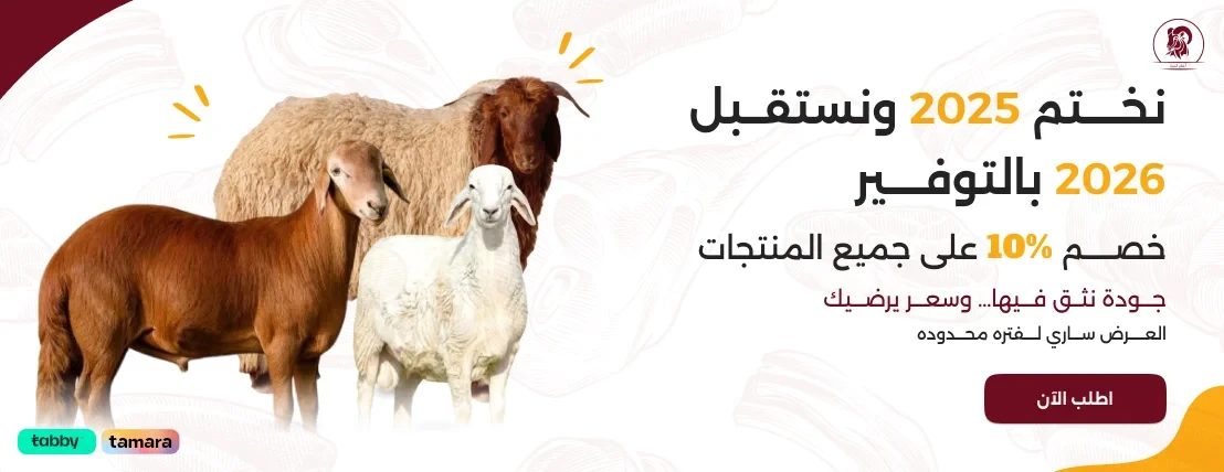 أغنام الديرة