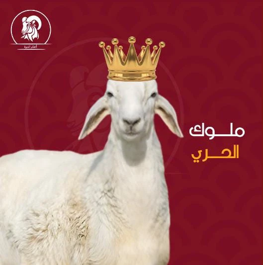 حري طائفي وسط وافي الشروط